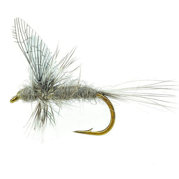 5-Pack Realistic Mayfly Dry Flies