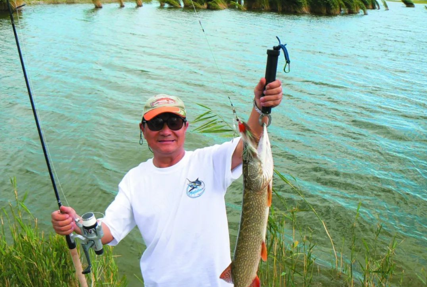 Four Popular Techniques for Catching Freshwater Bass