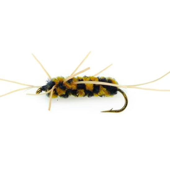 Stoneflies
