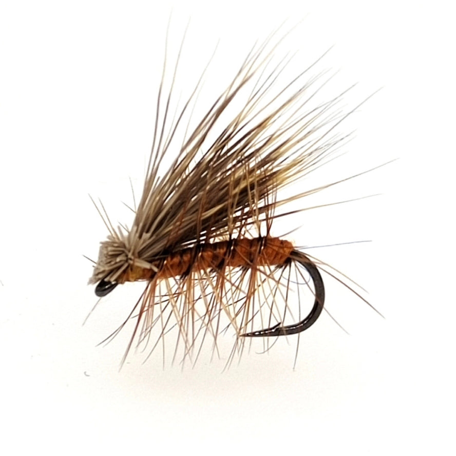 Caddis