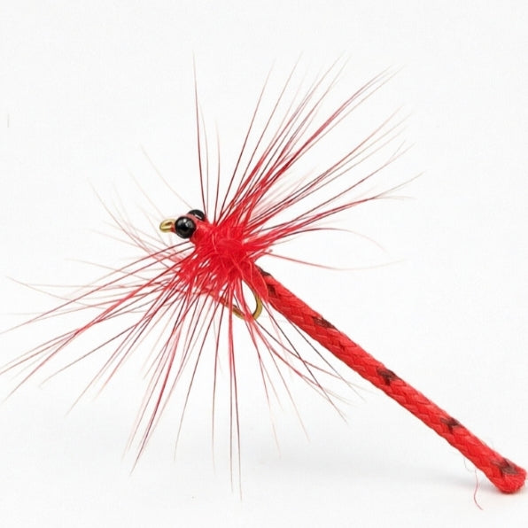 Dragonflies & Damselflies