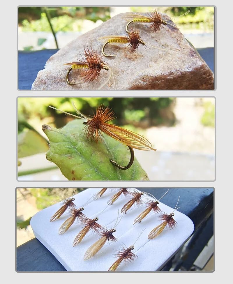 5-Pack/10-Pack Realistic Caddis Dry Flies #14 Gold Hook Fly Fishing Lures with Synthetic Wings & Natural Hackle, Hand-Tied High Floatability Flies for Trout, Chub, Culter, Panfish