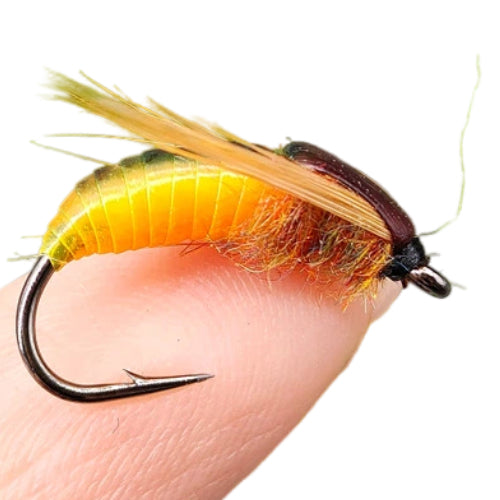 Fly Fishing Nymph Flies Assortment - Bead Head Caddis Pupa Larva Lures, Realistic Stonefly & Mayfly Imitations for Trout, Bass, and Carp, 6-Pack Hand-Tied Fishing Baits