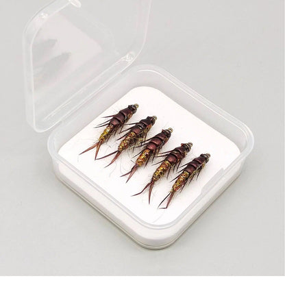 Handmade Realistic Nymph Fly - Super Lifelike Brown Body, Detailed Segments & Joints, Premium Hand-Tied Trout Flies, 5-Pack for Fly Fishing, Hook Size 10#
