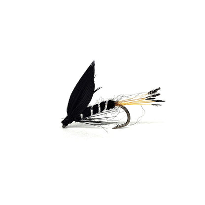 DZ Angling | 10-Pack|Hand-Tied Wet Fly Fishing Lures - Premium Trout and Panfish Stream Flies with Sharp Barbed Hooks (#14)
