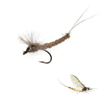 Professional Hand-Tied Mayfly Dry Fly Assortment (5-Pack) | Realistic Adult Mayfly Imitation with CDC & Deer Hair for Trout Fishing
