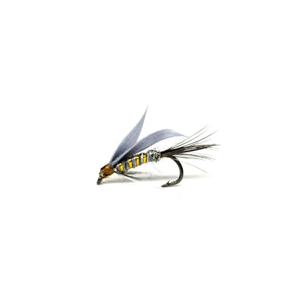 DZ Angling | 10-Pack|Hand-Tied Wet Fly Fishing Lures - Premium Trout and Panfish Stream Flies with Sharp Barbed Hooks (#14)