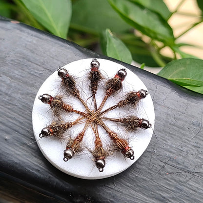 DZ Angling Beadhead Pheasant Tail Nymph Fly Fishing Lures - 10 Pack ,Weighted Tungsten Bead Subsurface Wet Flies for Trout Grayling, Sizes 14# 16# 18#