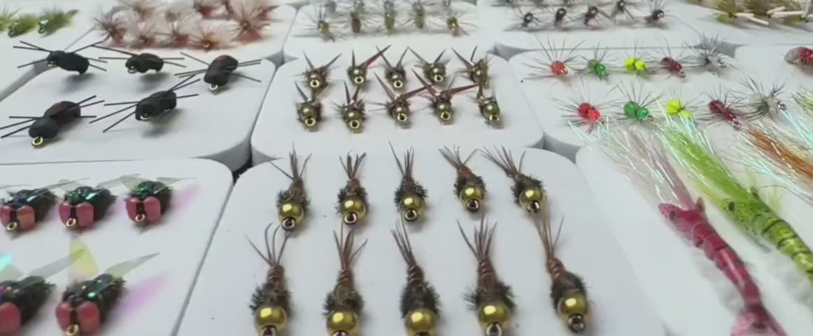 Load video: 